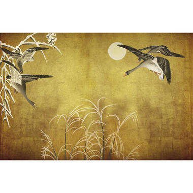 Sanders & Sanders fotobehangpapier - vogels - okergeel - 424 x 280 cm product
