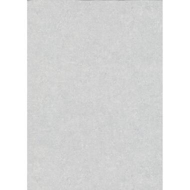 Erismann papier peint - uni - gris - 53 cm x 10.05 m - 662434 product