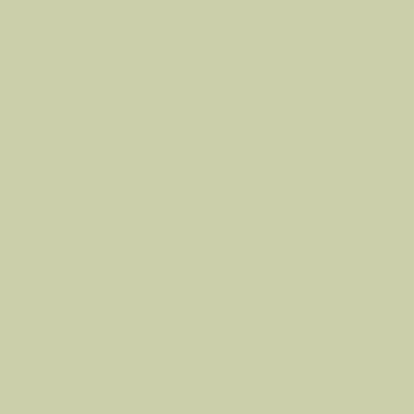 Duro Wallpaper papier peint - uni - vert cendré - 53 cm x 10.05 m product