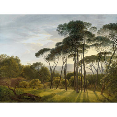 Sanders & Sanders fotobehangpapier - Italiaans landschap - jungle groen product