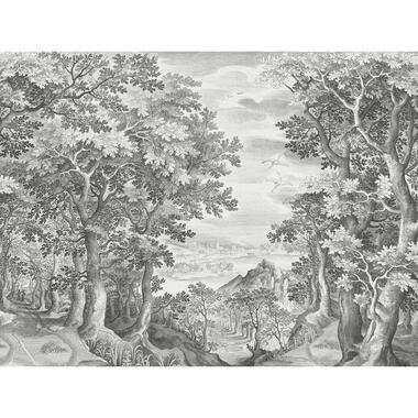 Sanders & Sanders fotobehangpapier - bos - zwart wit - 371 x 280 cm product