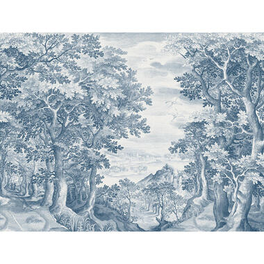 Sanders & Sanders fotobehangpapier - bos - blauw - 371 x 280 cm product