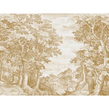 Sanders & Sanders fotobehangpapier - bos - geel - 371 x 280 cm product