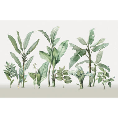 Sanders & Sanders fotobehangpapier - palmbladeren - wit en groen - 424 x 280 cm product