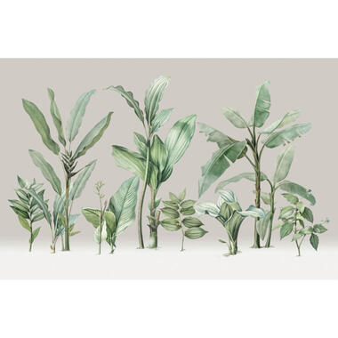 Sanders & Sanders fotobehangpapier - palmbladeren - beige en groen product
