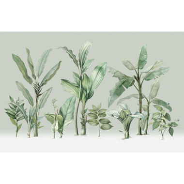 Sanders & Sanders fotobehangpapier - palmbladeren - groen - 424 x 280 cm product