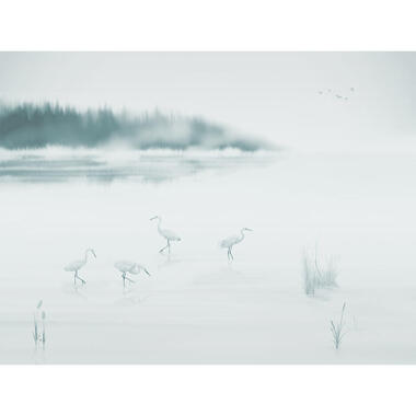 Sanders & Sanders papier peint panoramique - oiseaux de grue - bleu et gris product