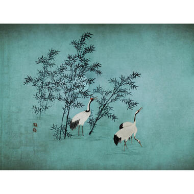 Sanders & Sanders fotobehangpapier - kraanvogels - turquoise - 371 x 280 cm product