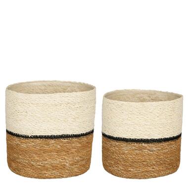 Mica Decorations Damian Lot de 2 Paniers à plantes - Lot de 2 - Ø20 cm product