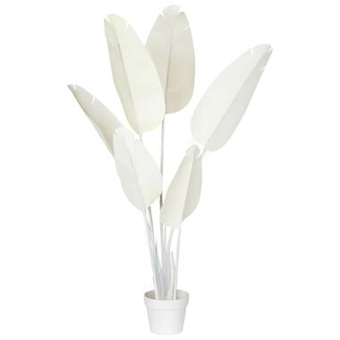 Plante artificielle BANANA TREE 123 cm Blanc product