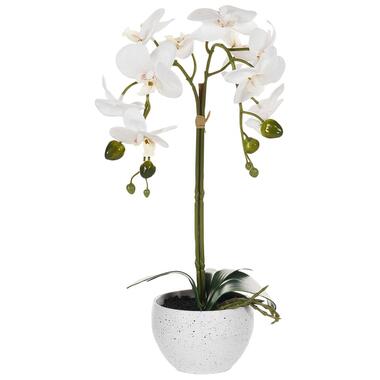 Plante artificielle ORCHID 42 cm Blanc product