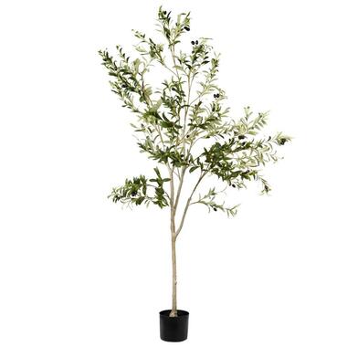 OLIVE TREE - Kunstplant - Groen - 178 cm - Synthetisch product