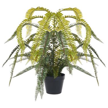 Plante artificielle FERN LEAF PLANT 105 cm Vert product