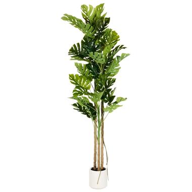MONSTERA PLANT - Kunstplant - Groen - 221 cm - Synthetisch product