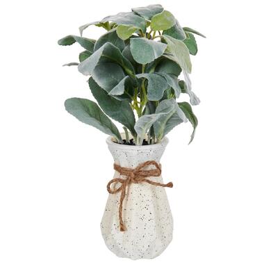 PEPEROMIA ARGYREIA - Kunstplant - Groen - 30 cm - Synthetisch product