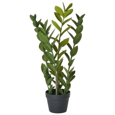 ZAMIIFOLIA - Kunstplant - Groen - 76 cm - Synthetisch materiaal product