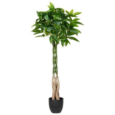 PACHIRA TREE - Kunstplant - Groen - 120 cm - Kunststof product