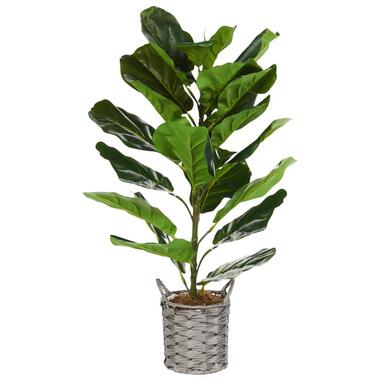 FIDDLE LEAF TREE - Kunstplant - Groen - 72 cm - Synthetisch product