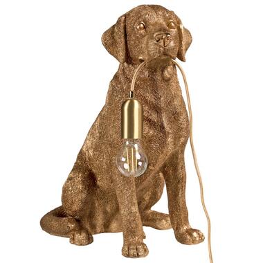 Lampe à poser Chien MARLEY Doré product