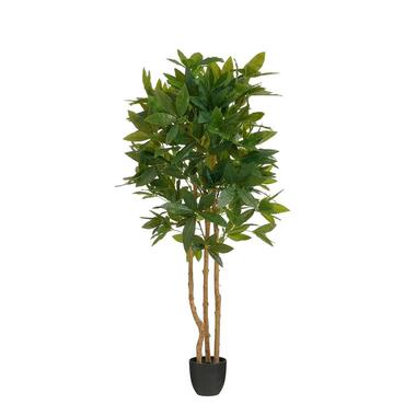 Mica Decorations Fatsia Plante artificielle en pot - H150 x Ø70 cm - Vert product
