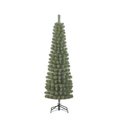 Black Box Trees Charlton Smalle Kunstkerstboom - H215 x Ø56 cm - Groen product