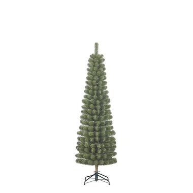 Black Box Trees Charlton Smalle Kunstkerstboom - H185 x Ø53 cm - Groen product