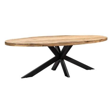 Table de salle à manger Trevor ovale - brun/noir - 200x100 cm product
