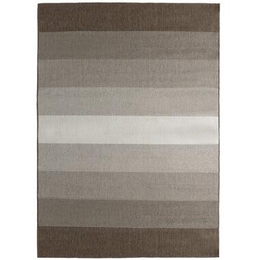 Eva Interior Buitenkleed Bruin Boa 200 x 290 cm product