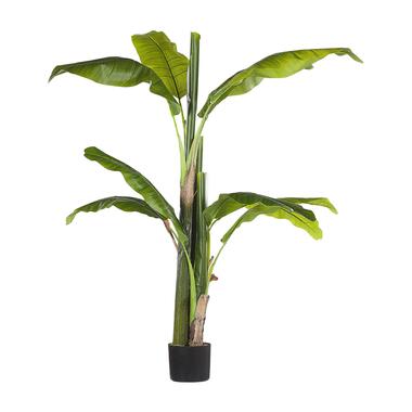 Plante artificielle bananier 154 cm avec pot BANANA TREE product