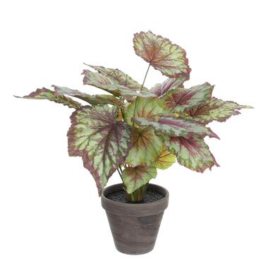 Mica Decorations Begonia Kunstplant Rood product
