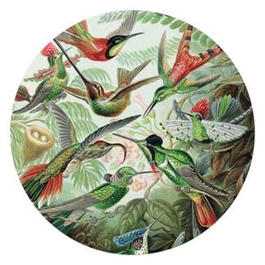 Glasschilderij - Hummingbirds - Ø 70 cm Glas product