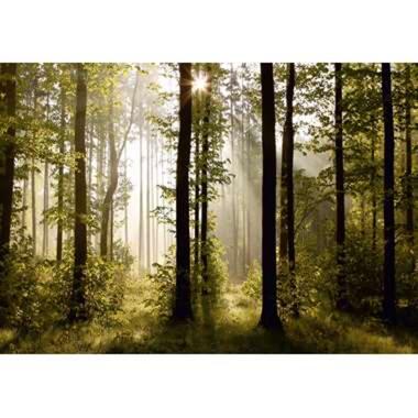 Sanders & Sanders photo mural - paysage boisé - vert -360 x 254 cm product