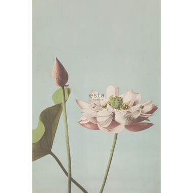 ESTAhome papier peint mural - fleur de lotus - vieux rose product