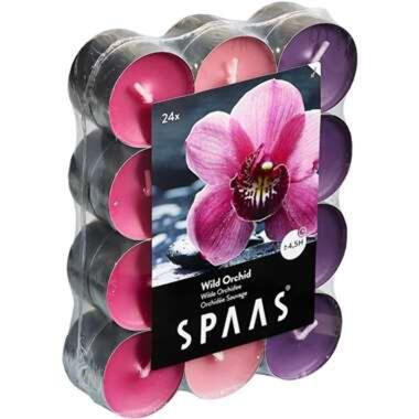 Candles by Spaas Geurkaarsen - wild orchid - 24 stuks - ca 4 branduren product