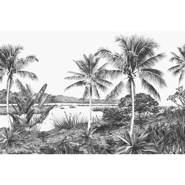 Origin papier peint mural - paysage avec des palmiers - noir et blanc product