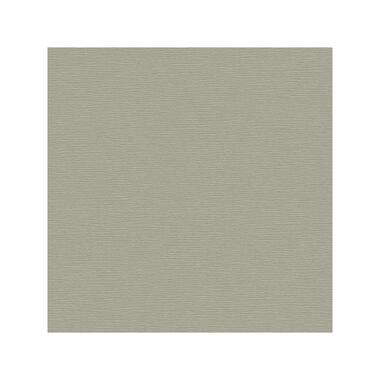 Dutch Wallcoverings - Beaux arts 2 pewter texture - 0,53x10,05m product