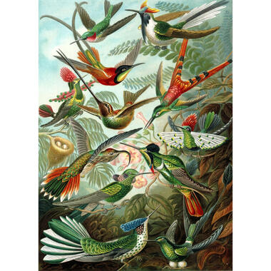 ESTAhome papier peint mural - oiseaux - vert jungle tropicale product