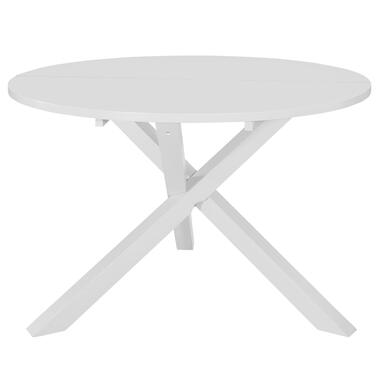 vidaXL Table de salle à manger Blanc 120 x 75 cm MDF product