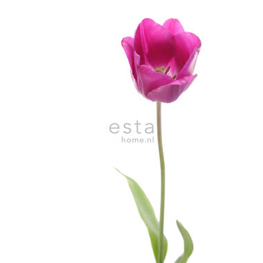 ESTAhome papier peint mural - tulipe - rose et vert - 93 x 211,5 cm product