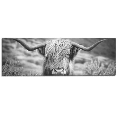 Peinture Highlander écossais 52x156 cm Noir - Blanc product