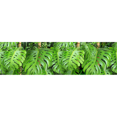 Sanders & Sanders zelfklevende behangrand - tropische jungle bladeren product