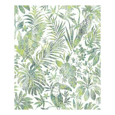 Dutch Wallcoverings - Escapade toekan/papegaai groen - 0,53x10,05m product