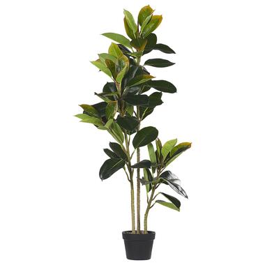 FICUS ELASTICA - Kunstplant - Groen - Synthetisch materiaal product