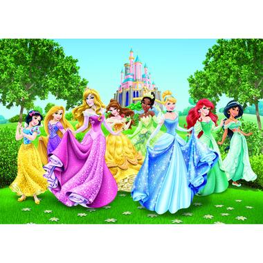 Disney photo mural - Princesses - vert, jaune et bleu -360 x 254 cm product