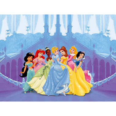 Disney photo mural - Princesses - bleu, rose et violet -360 x 254 cm product