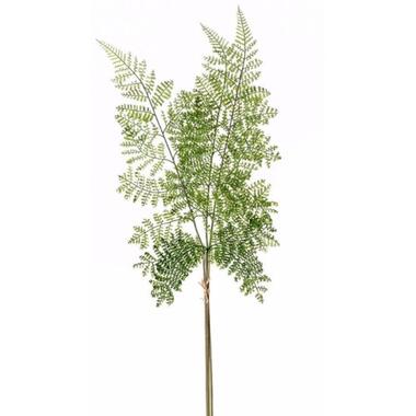 Kunstblad - bosvaren - Dryopteris Remota - tak - groen - 58 cm product