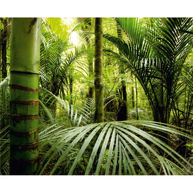 Sanders & Sanders fotobehangpapier - jungle-motief - groen product