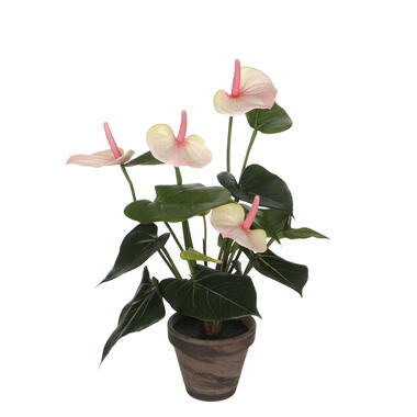 <p>Kunstplant Anthurium licht roze in grijze pot. Deze flamingoplant kunstplant product