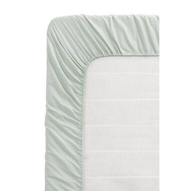 Drap-housse Coton - vert - 80x200 cm product