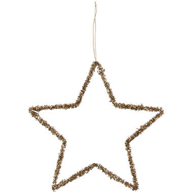 Ornament Ster - champagne - 25 cm